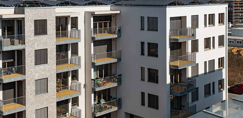 Nestbau